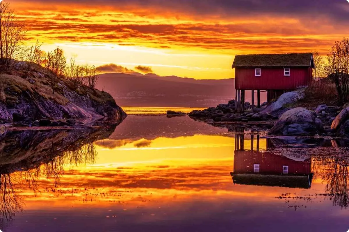 Midnight Sun