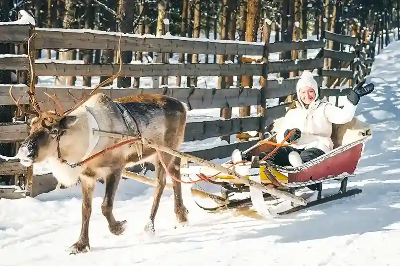 Finland 5N & Norway 4N Adventure